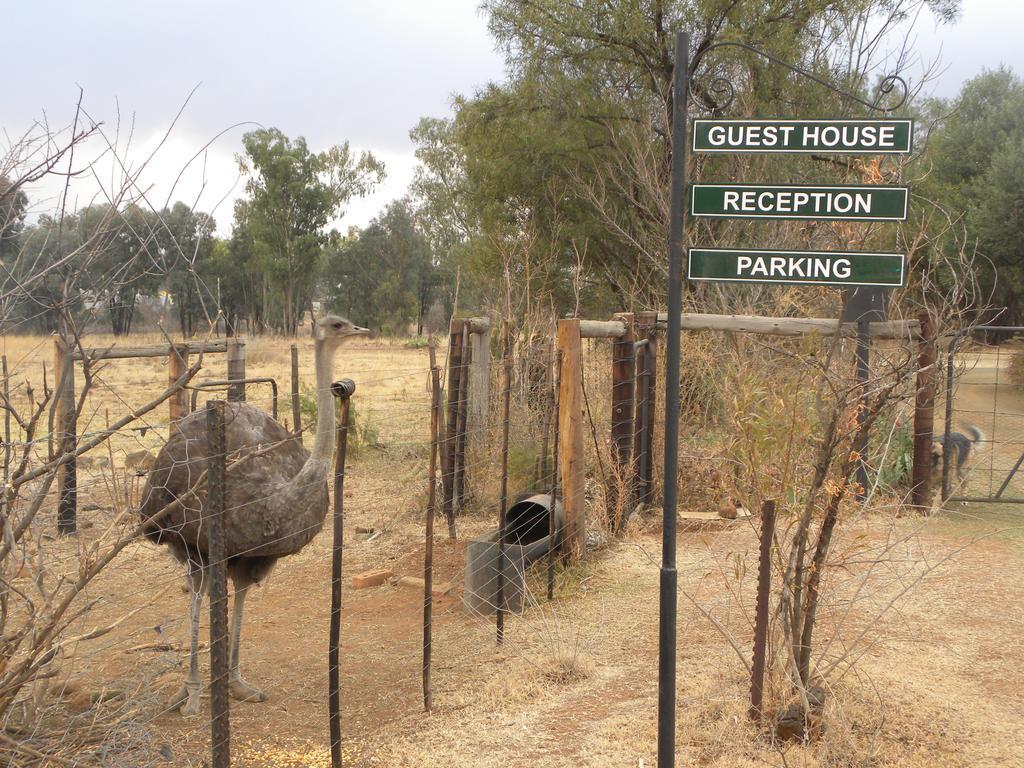 Olive Hill Country Lodge Bloemfontein Dış mekan fotoğraf